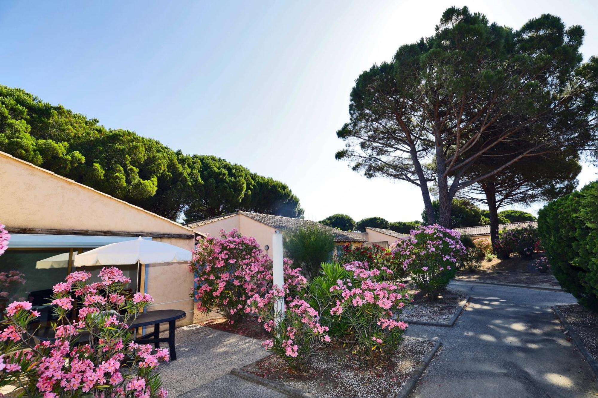 Village Vacances De Ramatuelle - Le Sentier Des Pins Экстерьер фото