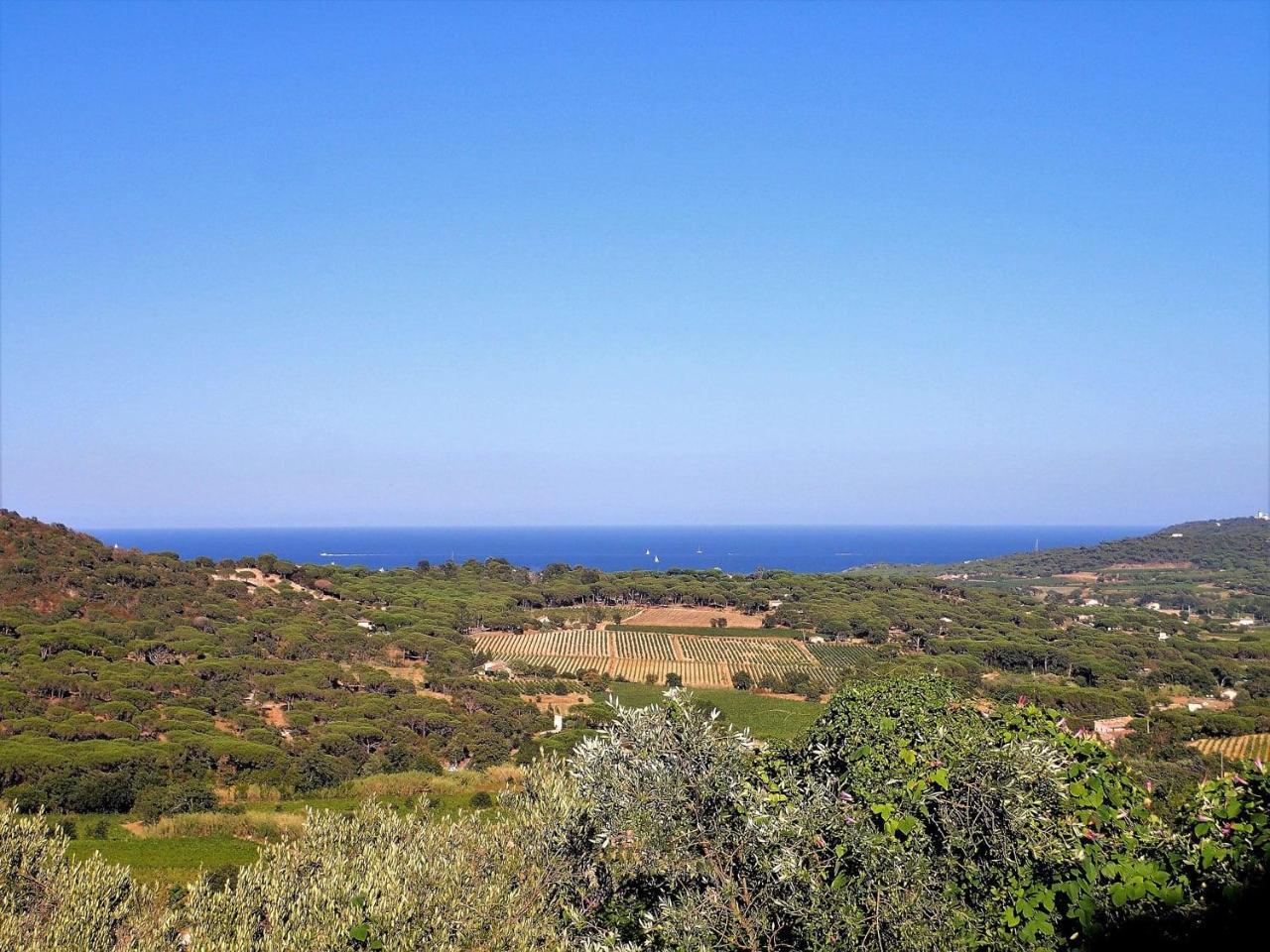 Village Vacances De Ramatuelle - Le Sentier Des Pins Экстерьер фото